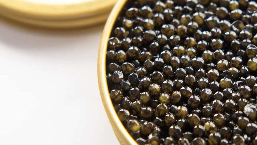 Black Caviar