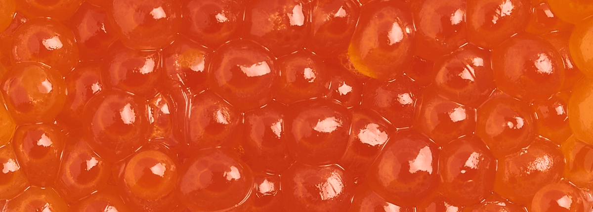 Salmon Roe