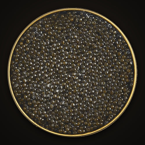 Baerii Sturgeon Caviar close-up: the pearls in an open Empero tin