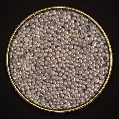 Beluga Fusion Caviar