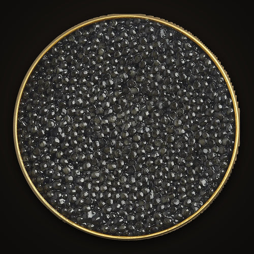 Caspian Osetra Caviar close-up: the pearls in an open Empero tin