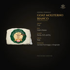 Goat Moliterno Bianco details – goat cheese, nutty, rich, earthy