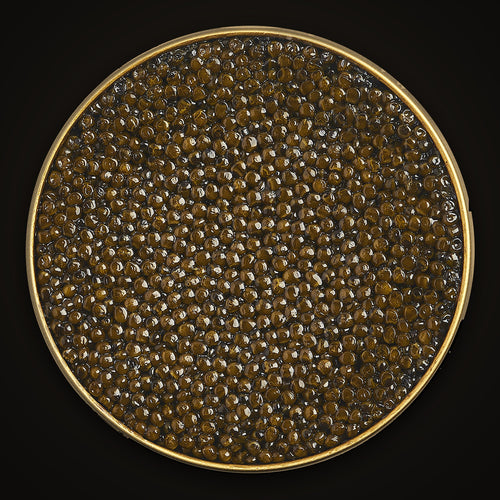 Imperial Kaluga Fusion Caviar close-up: the pearls in an open Empero tin