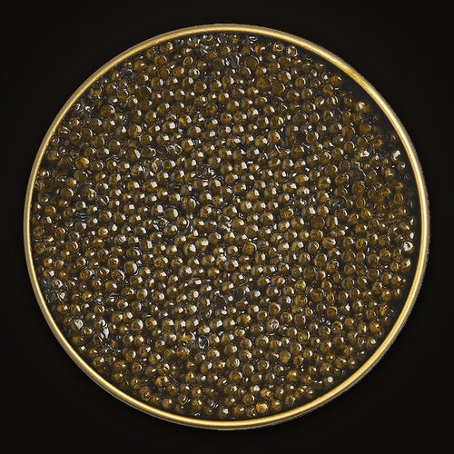 Osetra Special Caviar close-up: the pearls in an open Empero tin