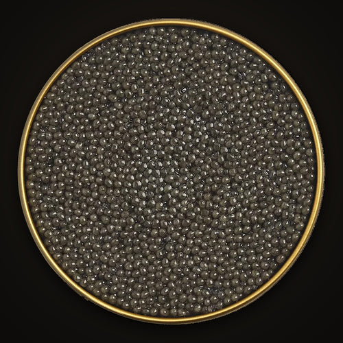 Sterlet Caviar close-up: the pearls in an open Empero tin