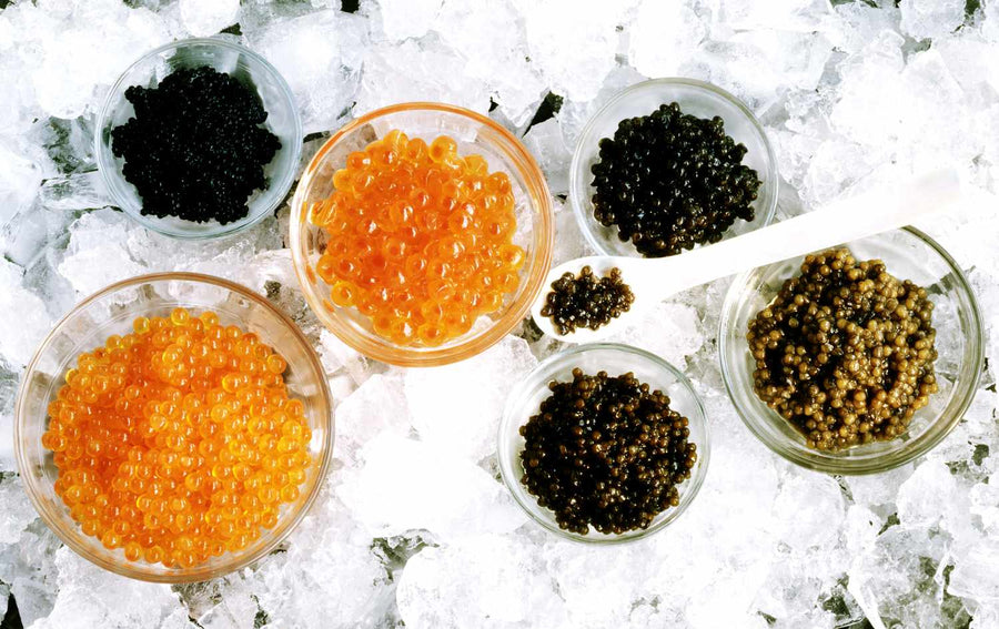 Seafood category